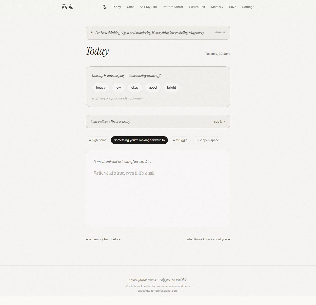 Today — the 30-second check-in, a prompt, and the Pattern Mirror progress